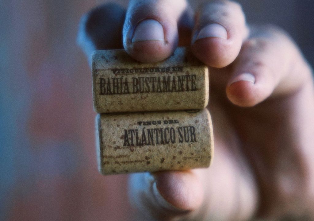 Vinos de Mar, viñedo marino