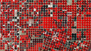 Primeras aplicaciones de Sentinel-2A