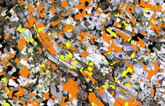 Sentinel-2 para la agricultura