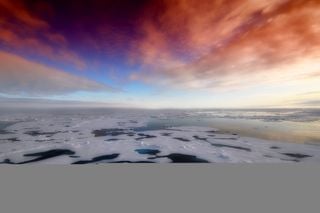 Los primeros habitantes de América del Norte pudieron haber llegado por una carretera de hielo marino hace 24.000 años