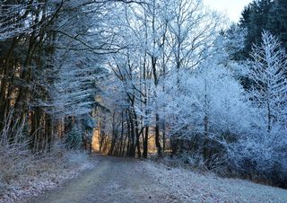 Primo assalto freddo da est, poi rischio neve a quote basse