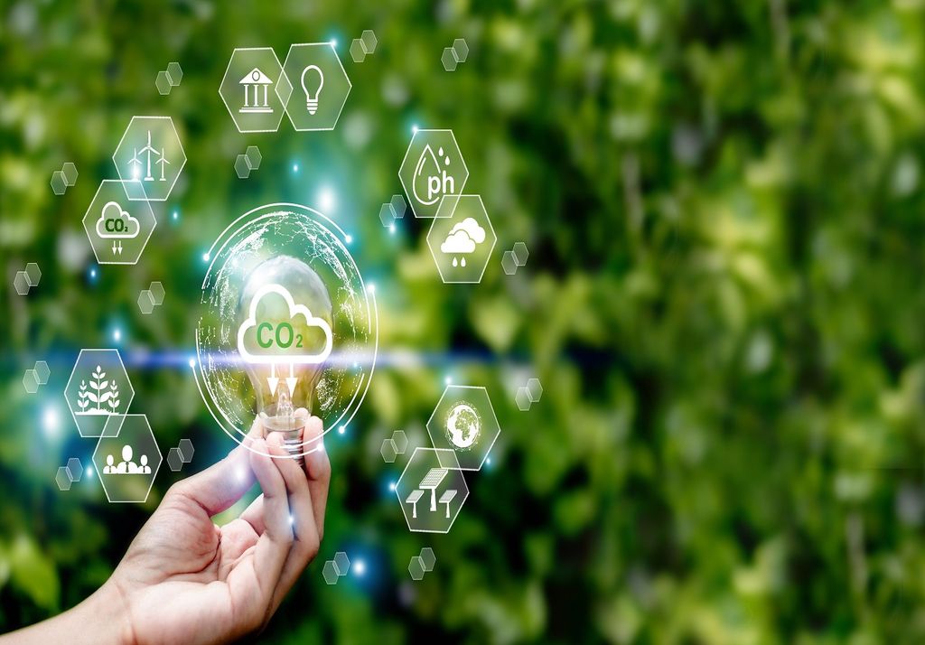 Klimaschutz, Klima, Ökonom