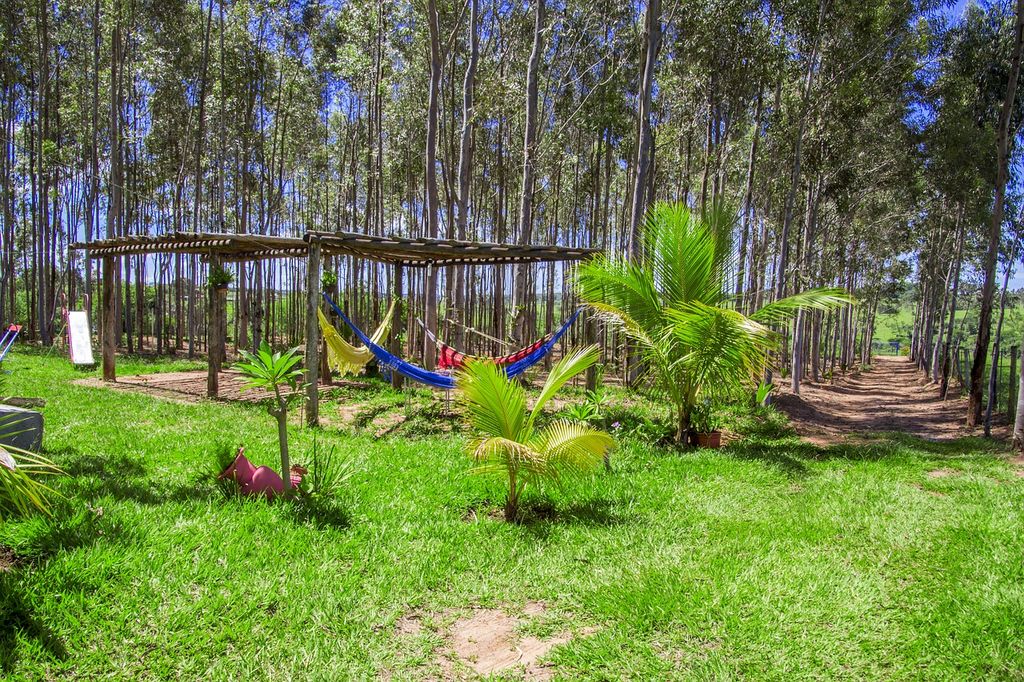 plantations du printemps