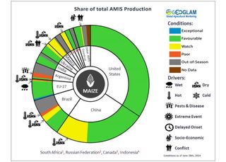 Probabilidade de colheita de milho, soja e trigo segundo o relatório da GEOGLAM: análise com o agrônomo Diego Portalanza