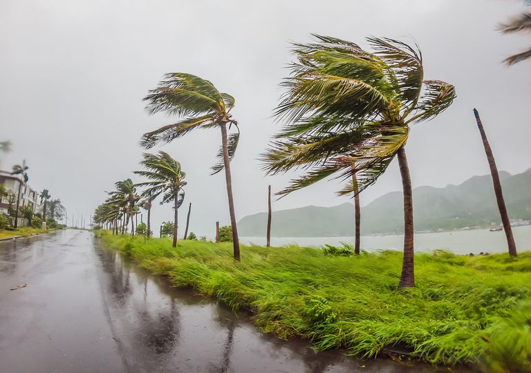 Probable ciclón tropical en próximos días Probable ciclón tropical en próximos días