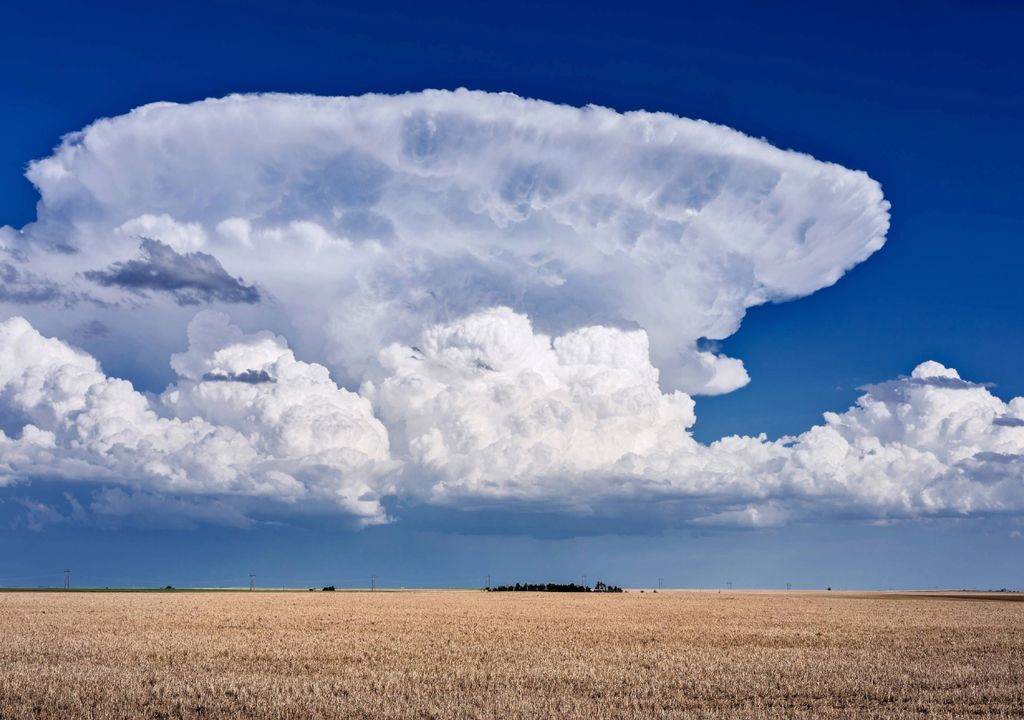 Las nubes yunque tienen una característica parte superior plana. Foto de JSirlin, Adobe.