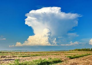 Ecuaciones simples de investigadores de Exeter y París ayudan a aclarar cómo las nubes contribuyen al cambio climático