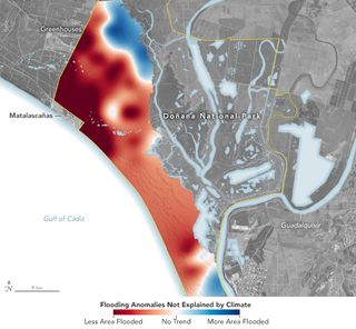 La NASA se fija en los problemas de agua en el Parque Nacional de Doñana