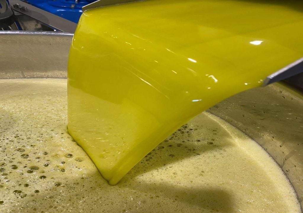 Estima-se que a produção total de azeite em Portugal deva ter atingido “aproximadamente 160 mil toneladas na campanha 2025/2026”. Crédito da fotografia: Olivum