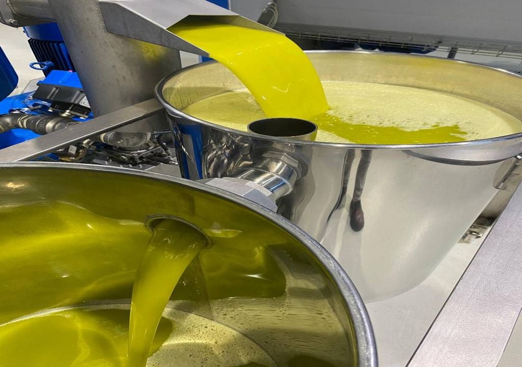 A quebra da produção de azeite “reflete um ano de contrassafra” e resulta do impacto das “condições climáticas adversas” nos olivais. Crédito da fotografia: Olivum