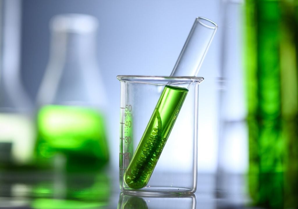 Tra vantaggi e limiti, i biocarburanti da microalghe rappresentano una tecnologia promettente ma ancora in fase di sviluppo: elevato potenziale ambientale, ma sfide tecniche ed economiche da superare per l’applicazione su larga scala