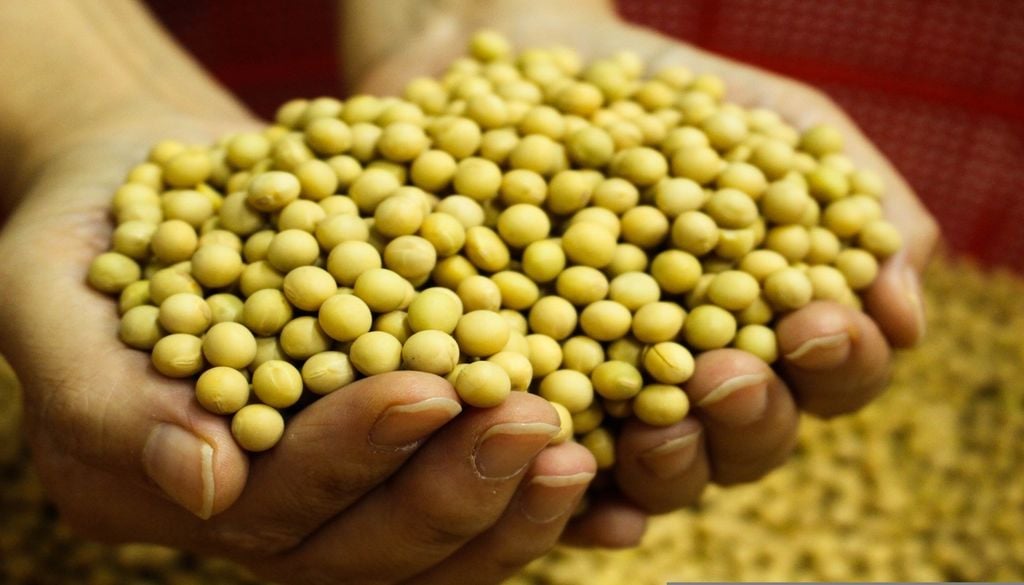 Une alimentation variée est la clé pour une bonne santé