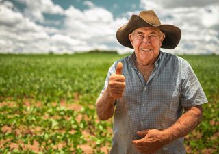 Produtores de soja se animam com o retorno das chuvas