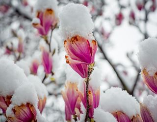 Irre Prognose für Deutschland: Nach Ostern nochmal Kälte und Schnee?