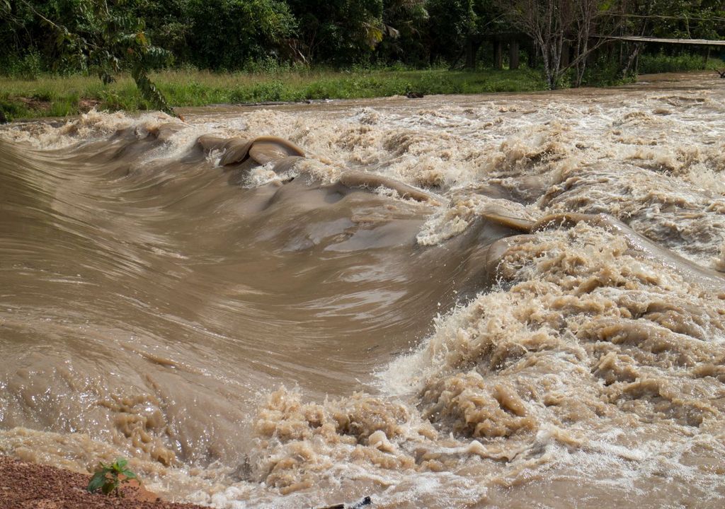 regenfluten, hochwasser, August