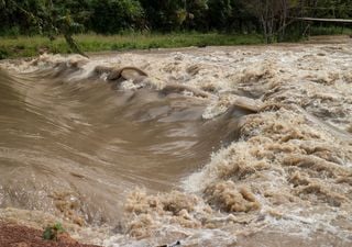 Schreckliche Prognose: So soll das Wetter im August in Deutschland werden! 