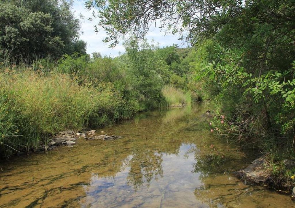 Ribeira de Alportel, Algarve Ribeira de Alportel, Algarve