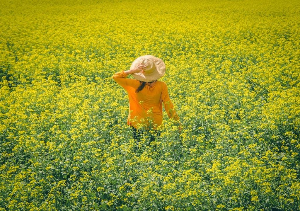 mulher na agricultura