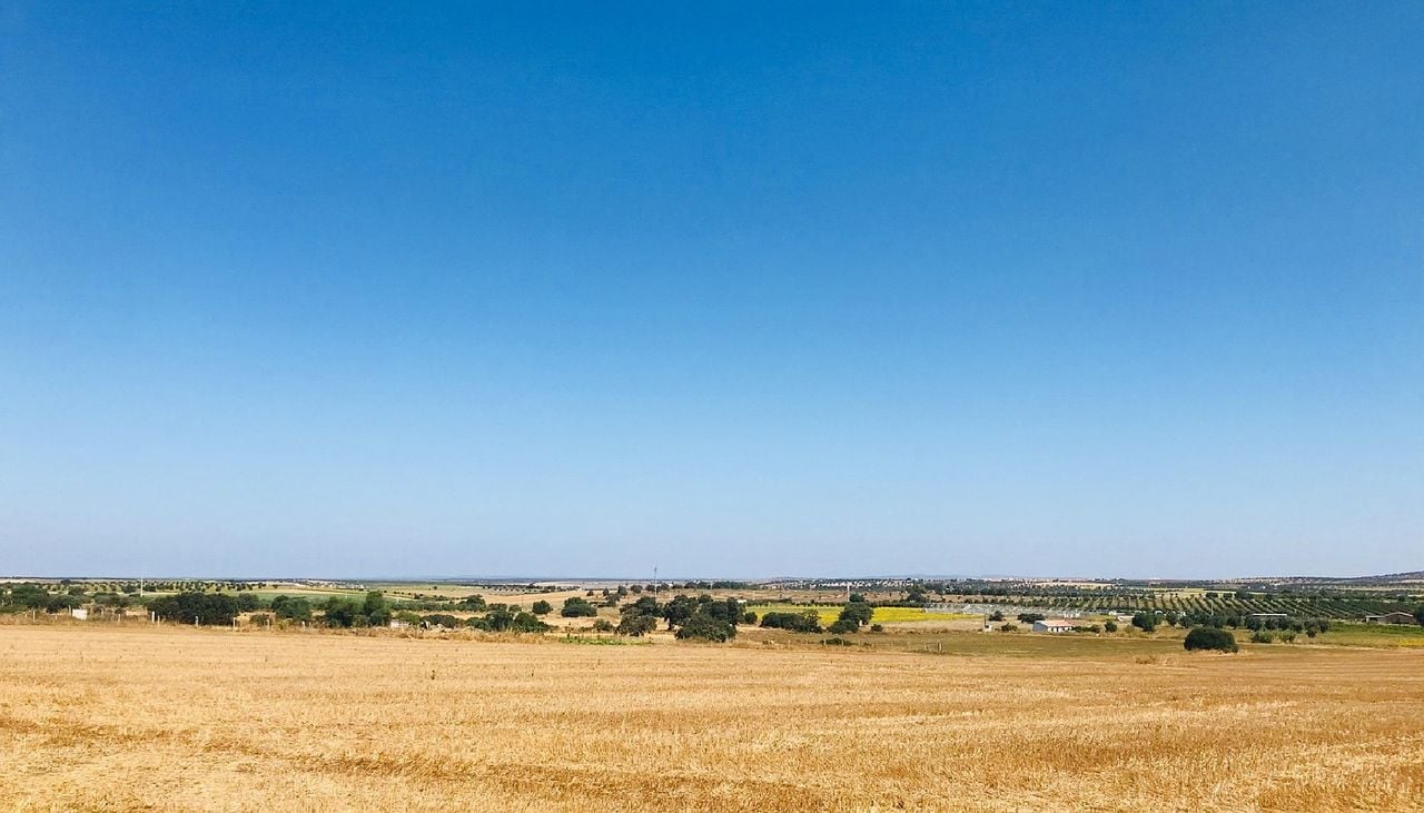 O solo alentejano caracteriza-se por baixos teores de matéria orgânica e reduzida capacidade de retenção de água. Foto: Da Cunha/Pixabay