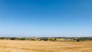 Projeto coverPLUS quer regenerar os solos do Alentejo com plantas e tecnologia digital