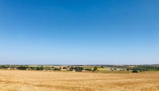Projeto coverPLUS quer regenerar os solos do Alentejo com plantas e tecnologia digital