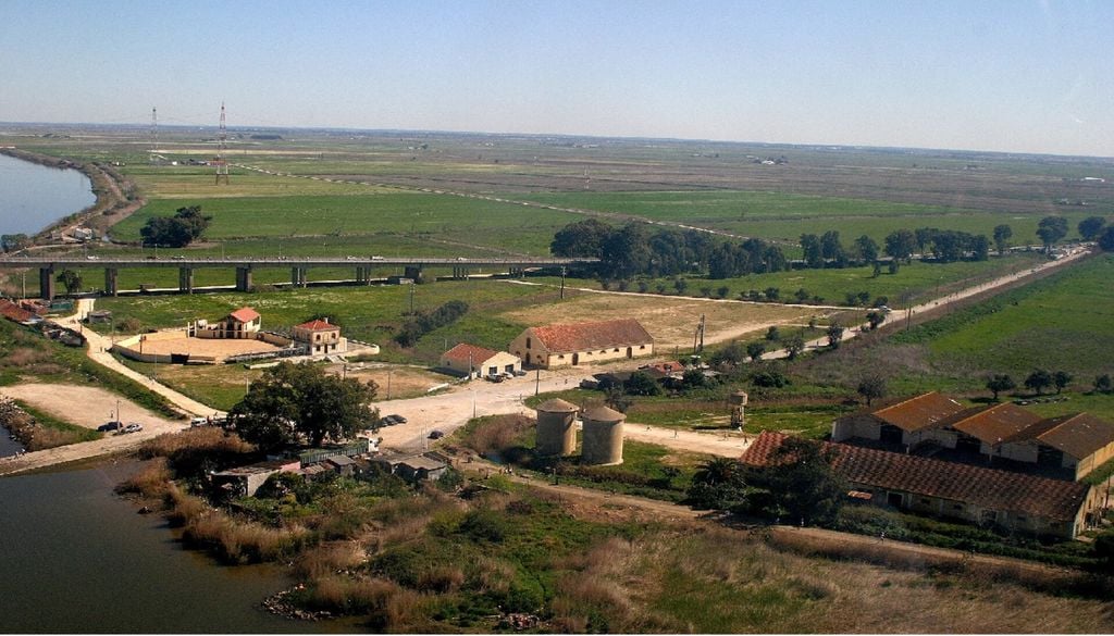 O projeto “Tagus for Future – Water + Soil” pretende antecipar a evolução da salinidade no estuário, ajudando os agricultores a proteger culturas como o tomate, o arroz e o milho. Foto: Município de V.F.Xira