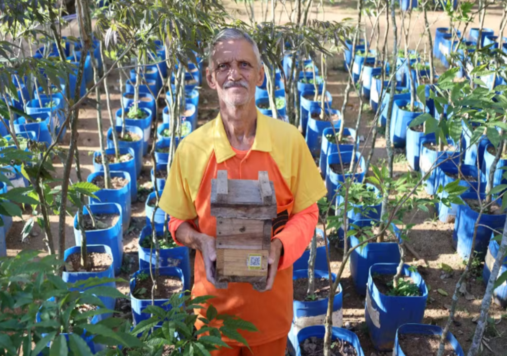 Biodiversidade urbana ganha reforço em Niterói com projeto que une abelhas, viveiro de mudas e energia renovável.