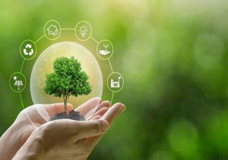 Projeto social leva energia limpa à Amazônia e conquista reconhecimento internacional