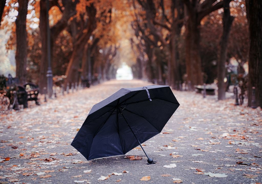 paraguas; día de otoño