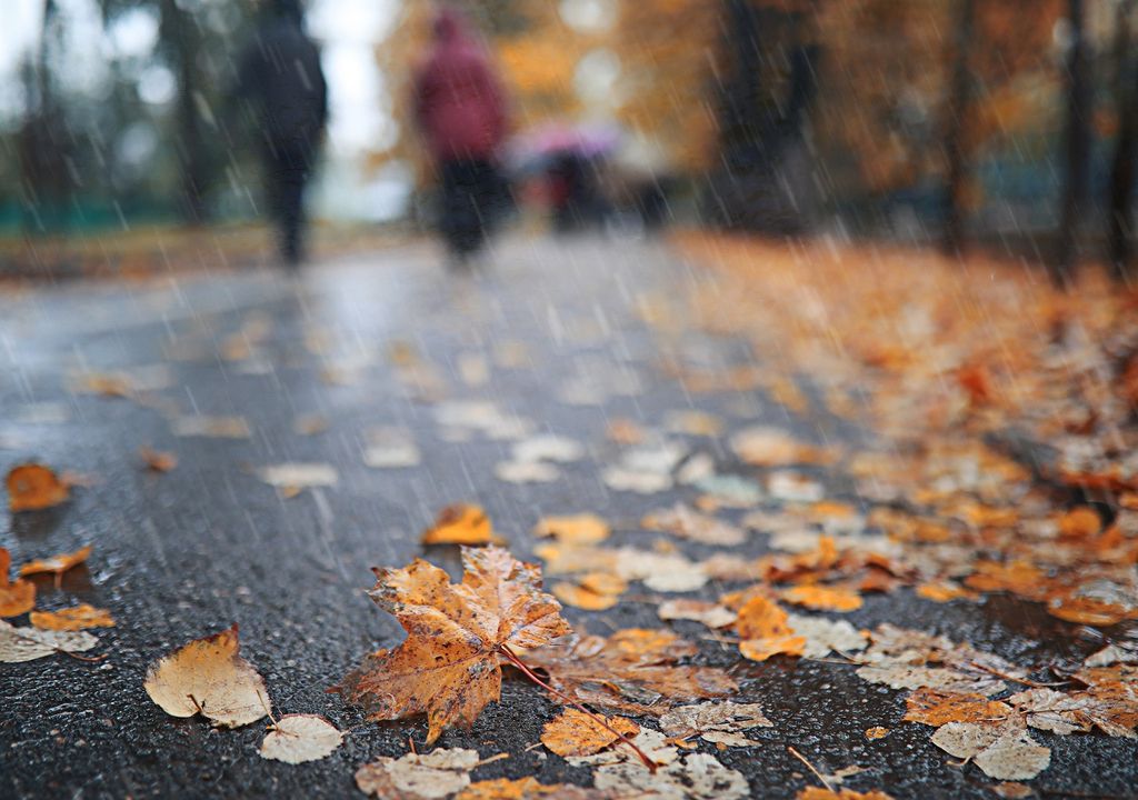 Suelo mojado por la lluvia y hojas esparcidas. Siluetas de personas de divisan distantes Suelo mojado por la lluvia y hojas esparcidas. Siluetas de personas de divisan distantes