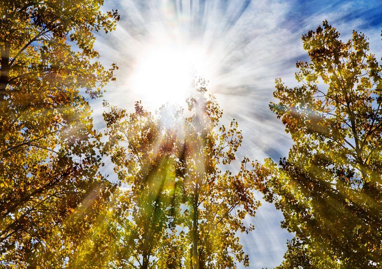 Última semana de marzo llega con temperaturas sobre 30 ºC en Chile central Última semana de marzo llega con temperaturas sobre 30 ºC en Chile central