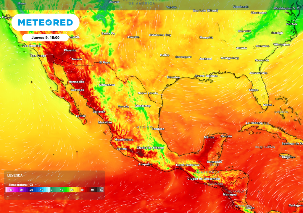 Temperaturas de 35 a 45 °C en el Pacífico incrementan estrés hídrico, elevan demanda de riego y reducen consumo y producción en ganado.