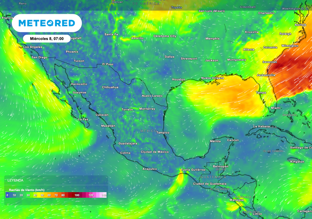 Rachas de 50 a 80 km/h pueden provocar acame en maíz, daño en estructuras agrícolas y mayor pérdida de humedad en el suelo.