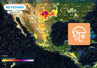 Pron&oacute;stico agrometeorol&oacute;gico semanal para M&eacute;xico: calor intenso y tormentas benefician aguacate pero complican al ma&iacute;z