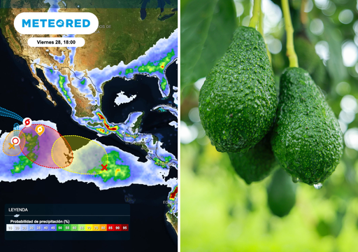 Pron&oacute;stico agrometeorol&oacute;gico semanal para M&eacute;xico: ciclones del Pac&iacute;fico ponen presi&oacute;n sobre el aguacate y la tuna