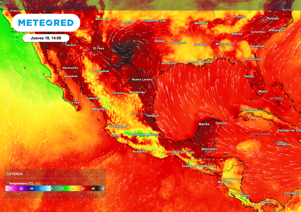 El calor que viene después de las lluvias aumentará el estrés animal, la presión sanitaria y el consumo de agua en varias zonas productivas. El calor que viene después de las lluvias aumentará el estrés animal, la presión sanitaria y el consumo de agua en varias zonas productivas.
