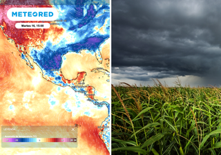 Pronóstico agrometeorológico semanal para México: lluvias dan respiro al maíz, pero prenden alerta para frijol y ganado