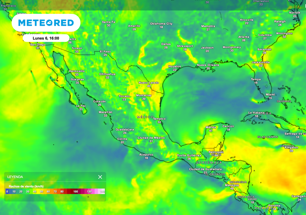 Las tormentas de tarde y las rachas de viento pueden causar cierres de caminos rurales justo cuando se concentran las actividades semanales de corte, acopio y traslado.