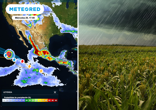 Pron&oacute;stico agrometeorol&oacute;gico semanal para M&eacute;xico: lluvias intensas complicar&aacute;n las cosechas en 15 estados
