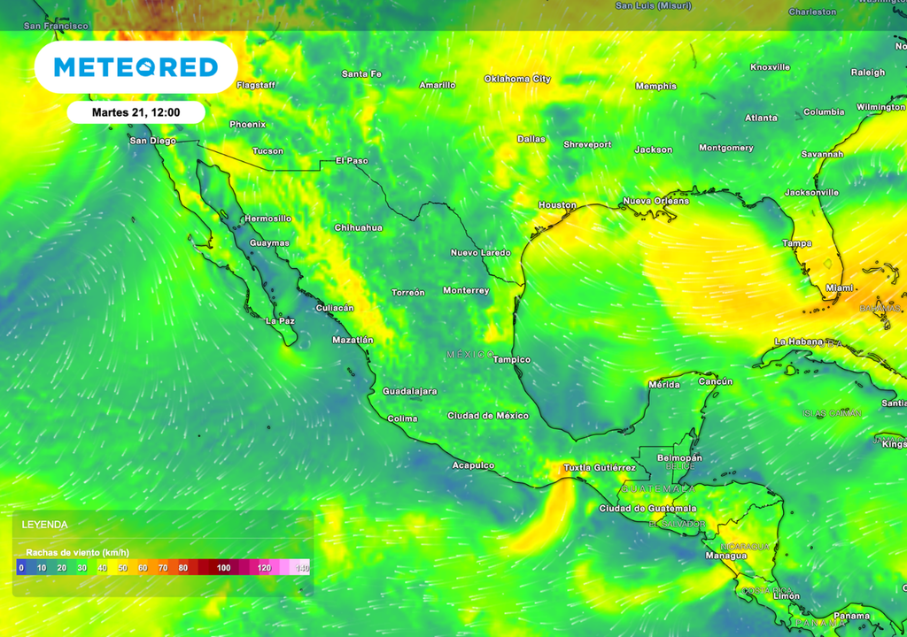 Las rachas de viento aceleran la pérdida de humedad en el suelo, reducen la eficiencia del riego y afectan plántulas de hortalizas.