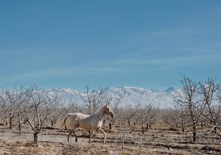 Pronóstico: ¿cómo será el clima durante julio en Argentina?