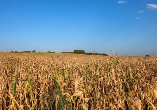 Pron&oacute;stico clim&aacute;tico del SMN actualizado: neutralidad y variabilidad marcan el inicio del oto&ntilde;o