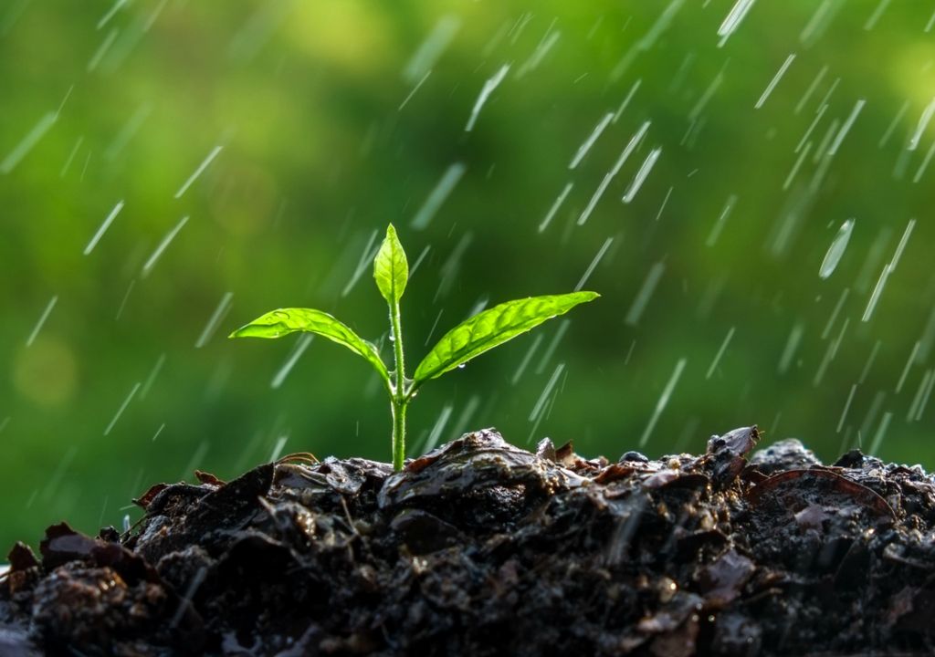 El Niño lluvias Argentina El Niño lluvias Argentina