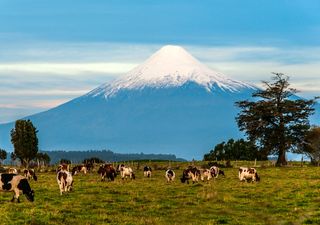 Pronóstico climático de enero por Reina Campos: El Niño continuará dejando sus efectos sobre Chile