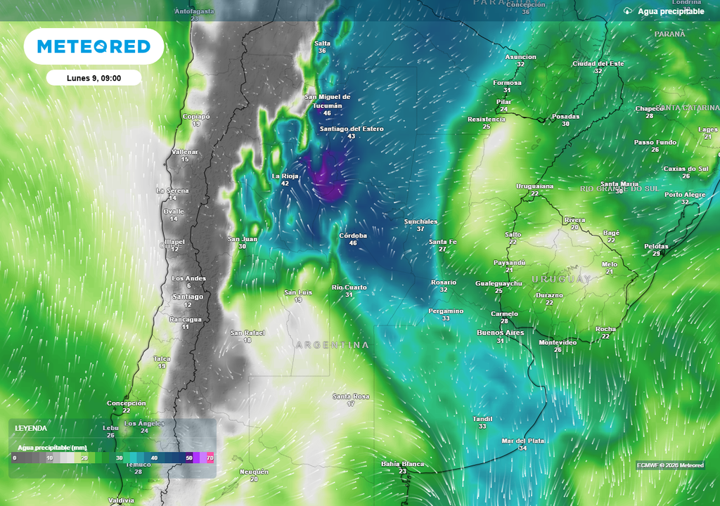 Agua precipitable prevista para el próximo lunes según nuestro modelo de referencia el ECMWF