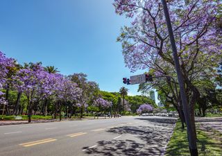 Pronóstico del tiempo en Buenos Aires: segunda semana de septiembre con temperaturas más templadas y lluvias débiles