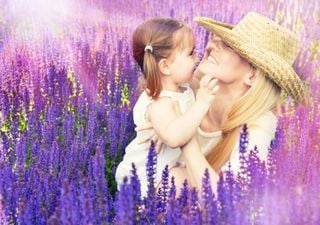 Pronóstico del tiempo para Buenos Aires: fin de semana del Día de la Madre ideal antes del regreso de las lluvias 