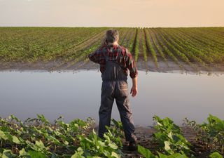 Pronóstico del tiempo para esta semana en Argentina: hubo lluvias extraordinarias y viene mucha más agua en camino