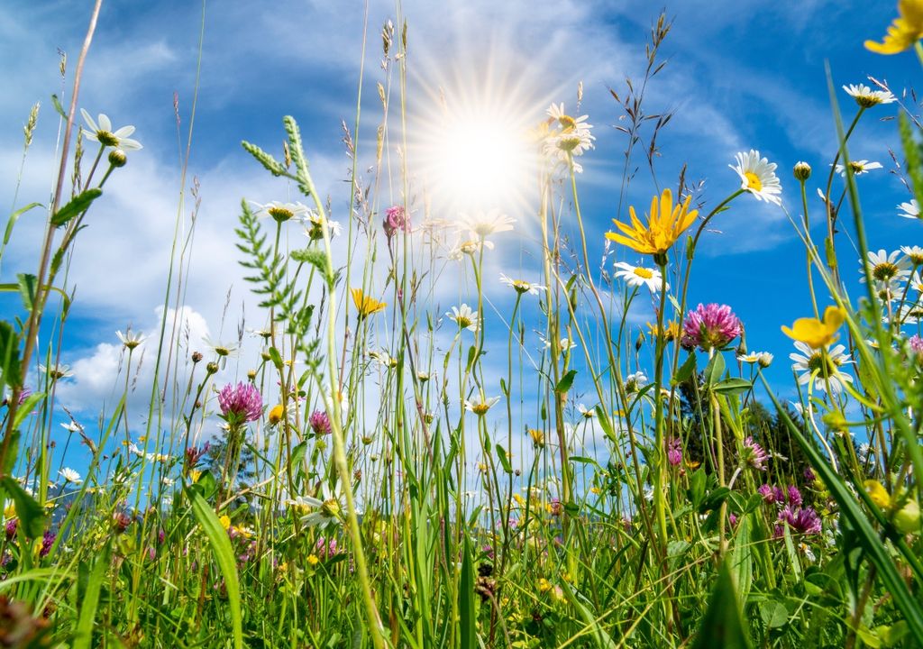 pronóstico tiempo clima Argentina alerta Servicio Meteorológico Nacional primavera