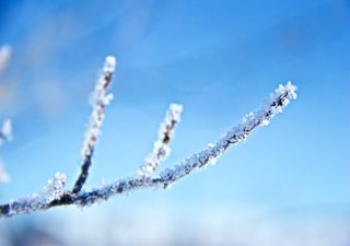 Pronóstico en Argentina con cambios bruscos en la temperatura